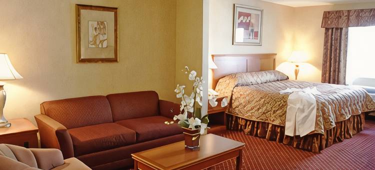 媒体中心贝斯特韦斯特优质套房酒店(Best Western Plus Media Center Inn  Suites)图片