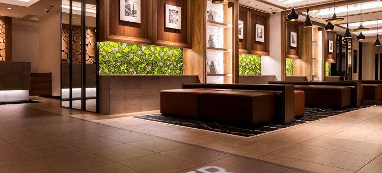 银座超级酒店Premier 天然温泉 奥汤河原之汤(Super Hotel Premier Ginza)图片