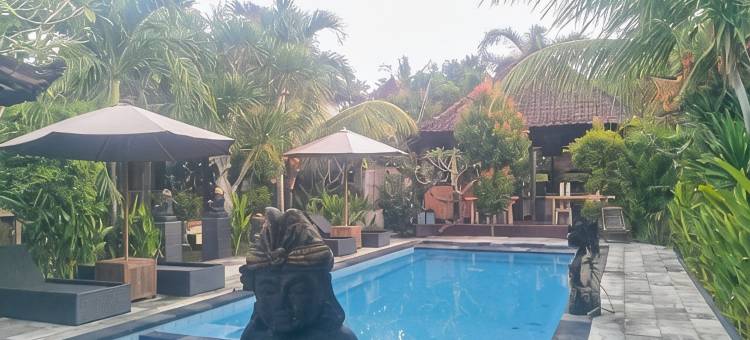 德利克斯别墅-蓝梦岛(D'Licks Villa Lembongan)图片