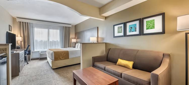 康福特套房索格拉斯(Comfort Suites Sawgrass)图片