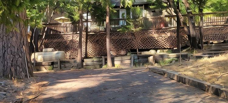 米乌克维利基配有WiFi的迷人木屋(Charming cabin with WiFi in Mi-Wuk Village)图片