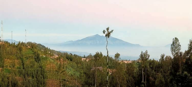 布罗莫英达乐斯塔里民宿-美特拉-RedDoorz(Bromo Indah Lestari Homestay Mitra RedDoorz)图片