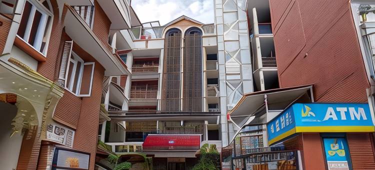 加德满都优雅客栈酒店(Hotel Elegant Kathmandu Inn)图片