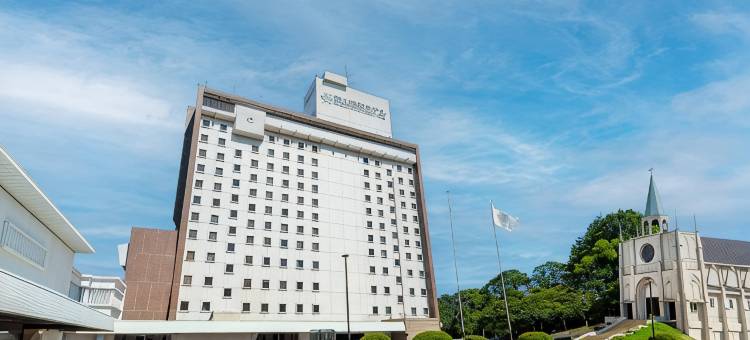冈山国际酒店(Okayama International Hotel)图片