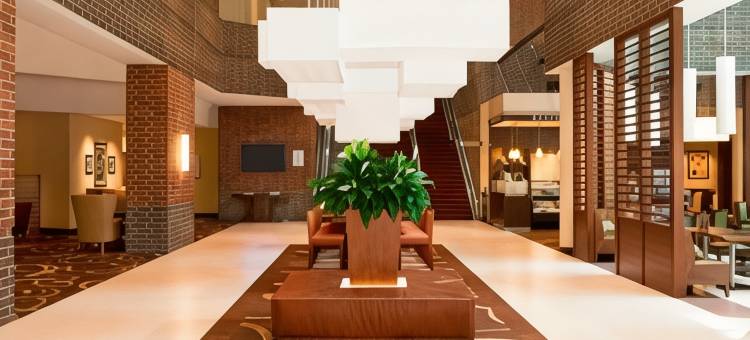 印第安纳波利斯喜来登酒店(位于凯斯通克罗星)(Sheraton Indianapolis Hotel at Keystone Crossing)图片