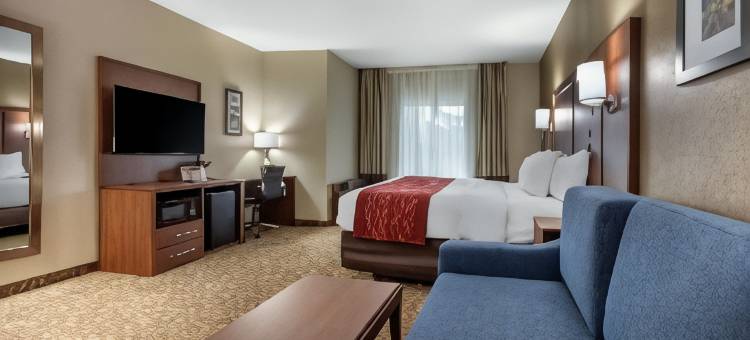 蒙哥马利东卡迈克尔路舒适套房酒店(Comfort Inn & Suites Montgomery East Carmichael Rd)图片