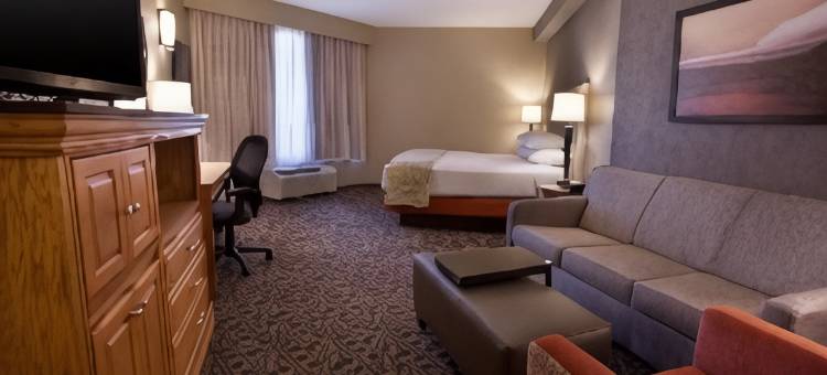 阿马里洛德鲁里套房旅馆(Drury Inn & Suites Amarillo)图片