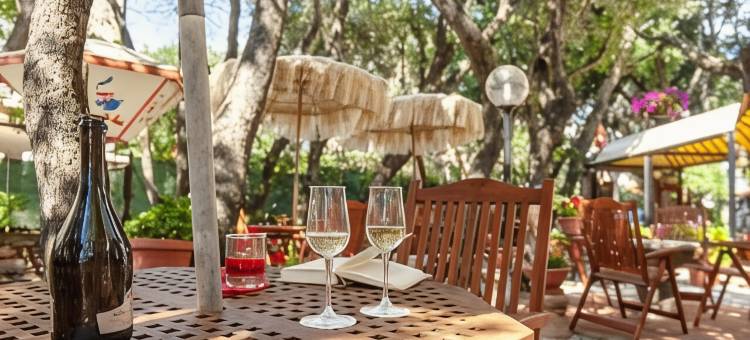 司考格力托别墅公寓酒店(Hotel Villa Lo Scoglietto)图片