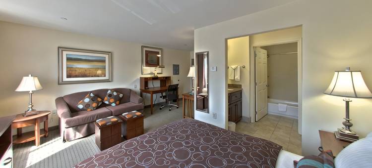 斯特劳兹堡Staybridge Suites酒店(东)波科诺山洲际旗下(Staybridge Suites STROUDSBURG (EAST) POCONOS by IHG)图片