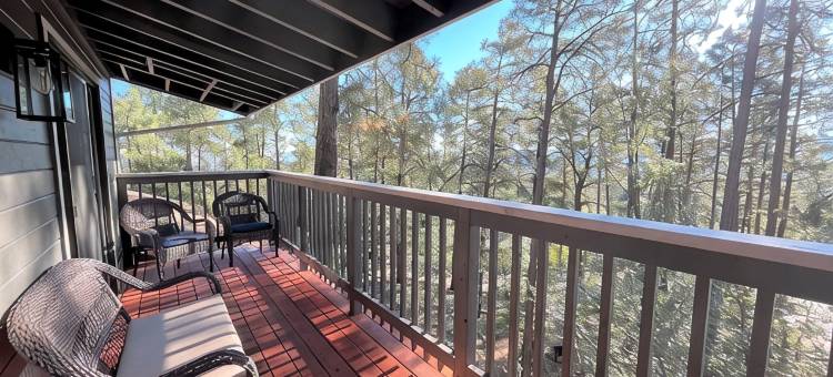 山间静居松林中木屋(Mountain Cabin Retreat in the Pines)图片