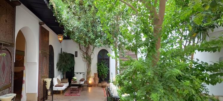 小卡尔梅拉庭院旅馆(Riad Petit Karmela)图片