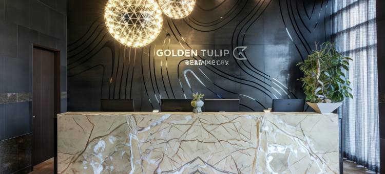 金郁金香艾佛龙仁饭店(Golden Tulip Ever Yongin)图片