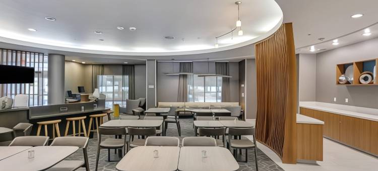 萨克拉门托纳多马斯万豪SpringHill酒店(SpringHill Suites Sacramento Natomas)图片