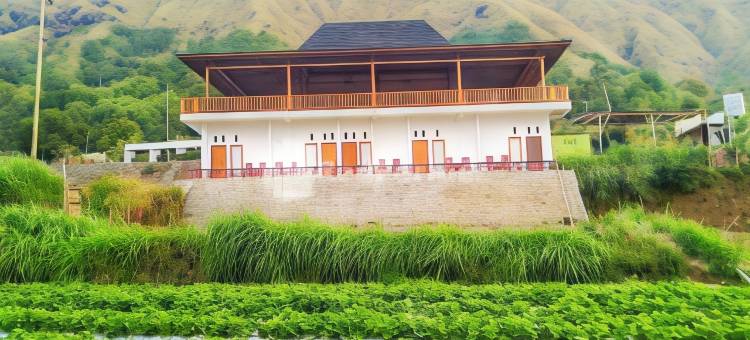 Teras稻田宾馆Syariah(Teras Sawah Guest House Syariah)图片