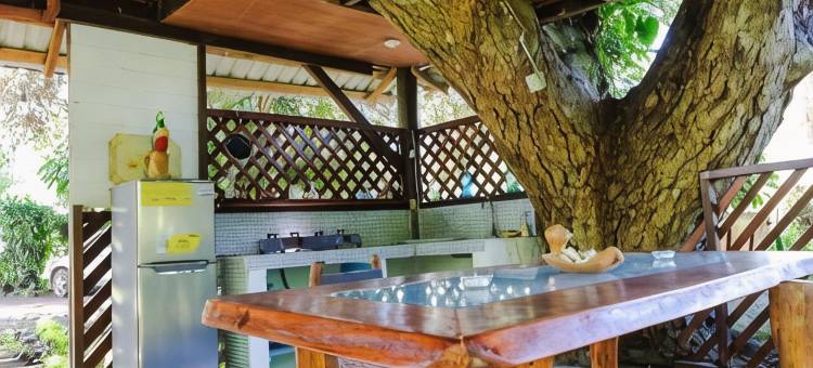 大滩旅馆(Playa Grande Lodge & Tree House)图片