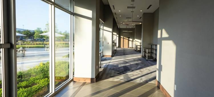 IMG学院传统酒店(Legacy Hotel at Img Academy)图片