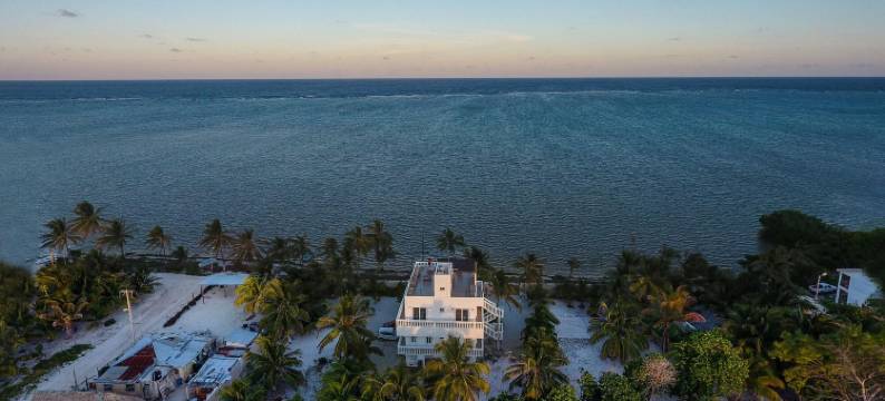 加勒比Casablanca(Caribbean Casa Blanca)图片