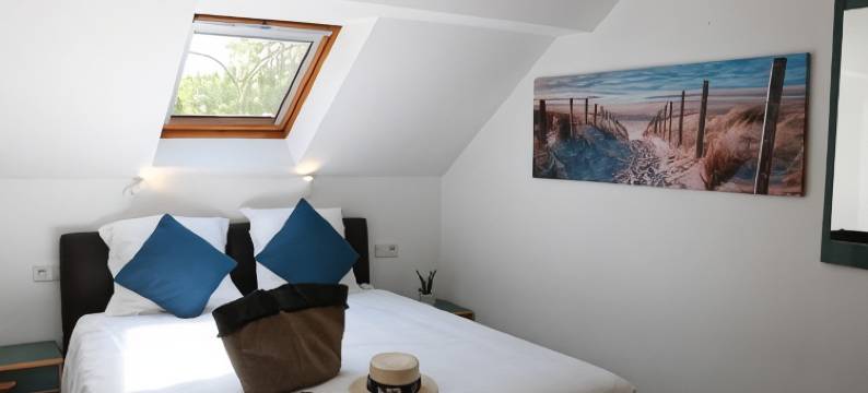 切兹米雷尔雷因甘公园酒店(Reingam-Park)图片