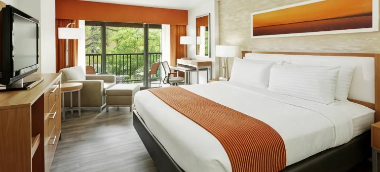 Holiday Inn 圣安东尼奥，RIVERWALK(Holiday Inn San Antonio-Riverwalk)图片