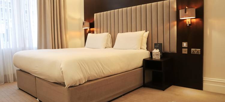 Rove酒店伦敦帕丁顿(Rove Hotel London Paddington)图片