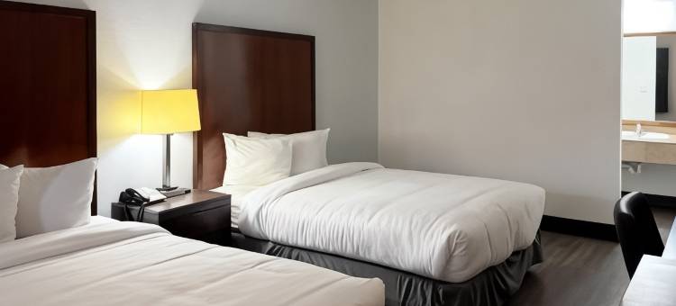 Motel 6 迈措沃, 亚利桑那州 - 市中心(Motel 6 Mesa, AZ - Downtown)图片