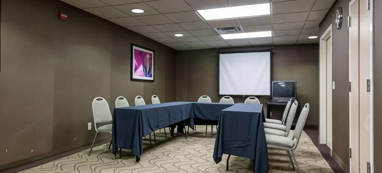 舒适套房酒店-中心/44号州际公路(Comfort Suites Central-I-44)图片