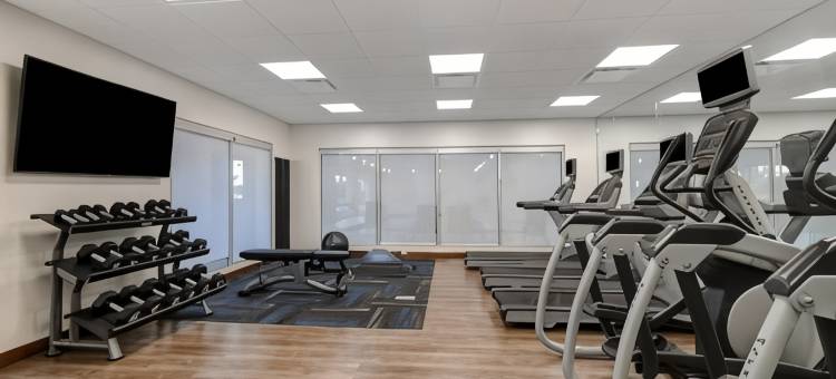 密歇根大学南智选假日套房酒店(Holiday Inn Express & Suites Ann Arbor - University South)图片