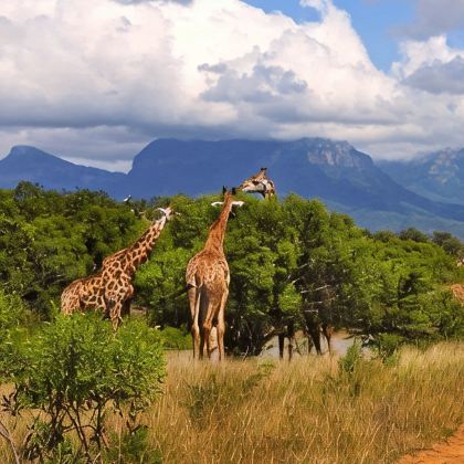 南非12日跟团游