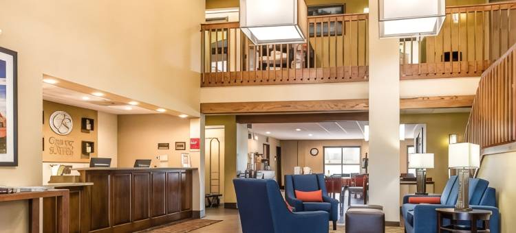 埃芬汉舒适套房酒店(Comfort Suites Effingham)图片