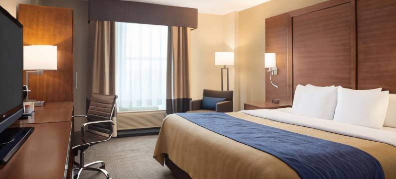 舒适酒店及套房-总统套房(Comfort Inn & Suites Presidential)图片