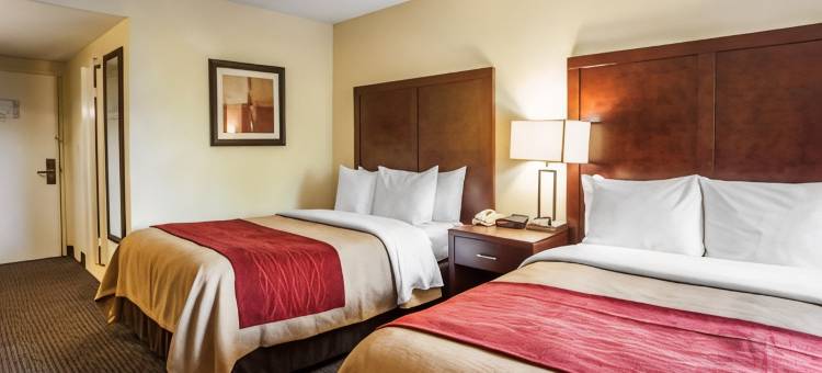 费斯特维尔-特雷弗斯舒适酒店(Comfort Inn Feasterville - Trevose)图片