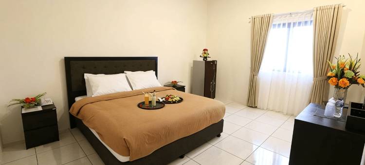 The Radiant Beber图片