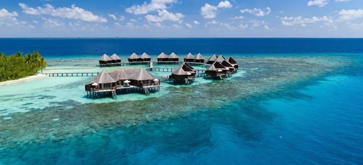 马尔代夫美憬阁米里希V别墅(V Villas Maldives at Mirihi - MGallery Collection)图片