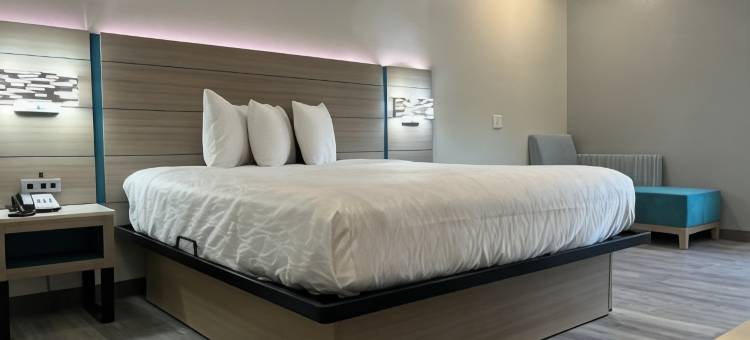 索内斯塔精选酒店休斯顿I-45春(Sonesta Essential Hotel Houston-I-45 Spring)图片