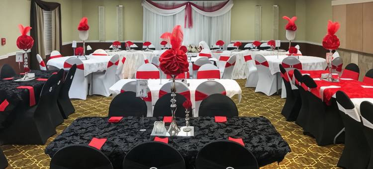 巴特尔克里克品质酒店(Country Inn & Suites by Radisson, Battle Creek, MI)图片