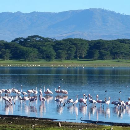 坦桑尼亚+肯尼亚内罗毕13日12晚私家团