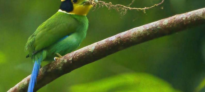 康纳帕亚度假村(Kum Nangpaya)图片
