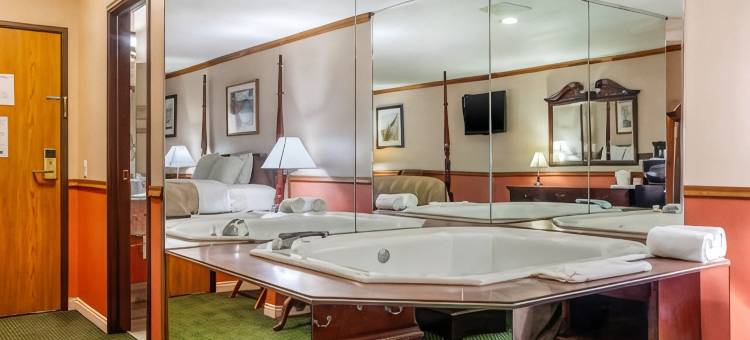 凯艺套房酒店(Quality Inn & Suites)图片