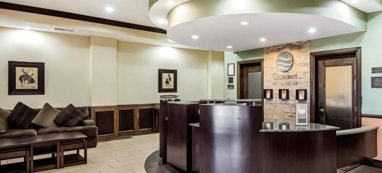 舒适套房酒店(Comfort Inn & Suites)图片