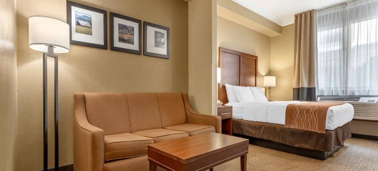 舒适酒店-阿克塔-洪保德区(Comfort Inn Arcata)图片