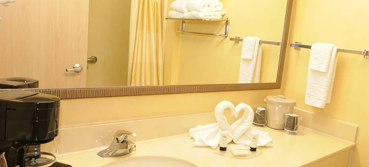 亨茨维尔万豪万枫酒店(Fairfield Inn Huntsville)图片