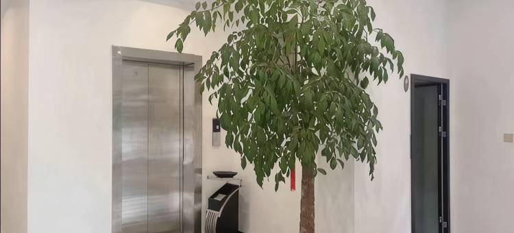 维西新龙门酒店(康普乡店)图片
