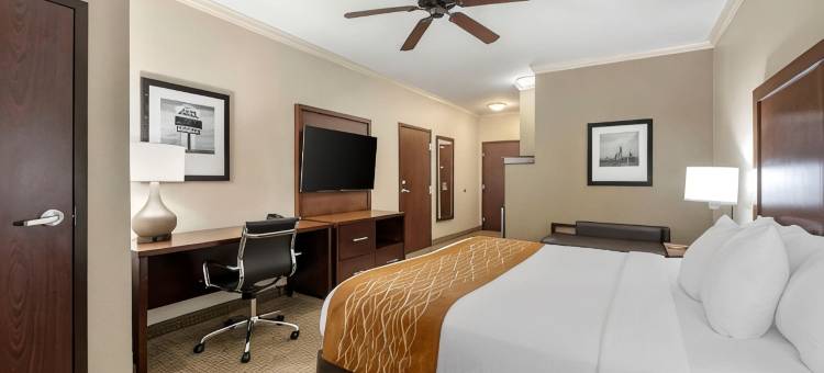 沃斯堡 - 化石溪舒适套房酒店(Comfort Inn & Suites Fort Worth - Fossil Creek)图片
