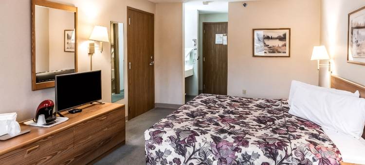 伊克诺套房旅馆(Econo Lodge Inn & Suites)图片