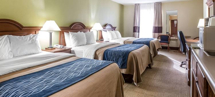 达里恩-北布伦瑞克凯艺酒店(Quality Inn Darien-North Brunswick)图片