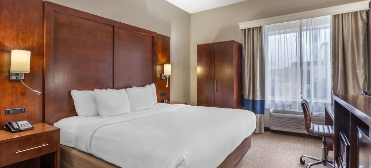 康威舒适套房酒店(Comfort Inn & Suites Conway)图片