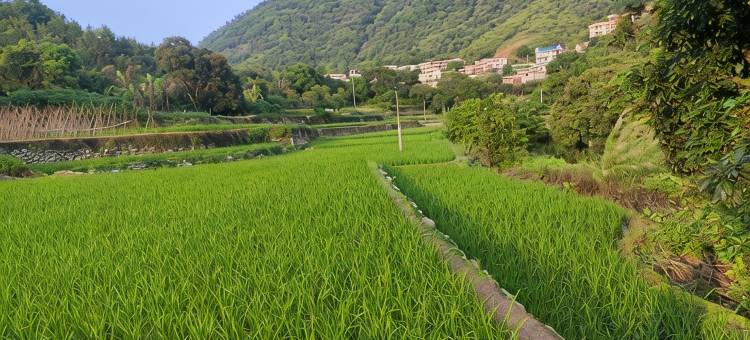 相遇院子公寓(梅塔线分店)图片