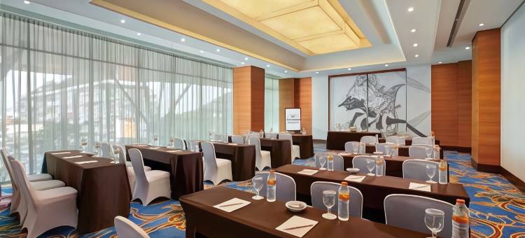 萨希德莱雅会议酒店(Sahid Raya Hotel & Convention Yogyakarta)图片