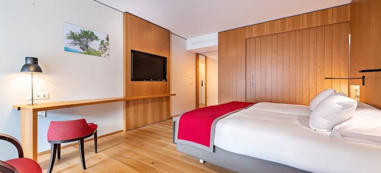 萨永贝恩斯酒店(Hotel Bains de Saillon)图片