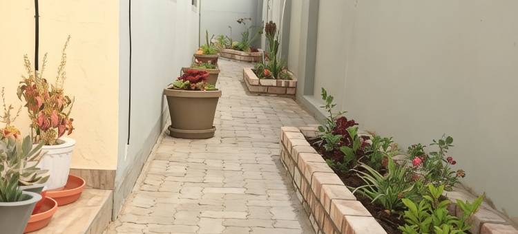 可可棕榈家庭旅馆(Coco Palm Bed & Breakfast)图片